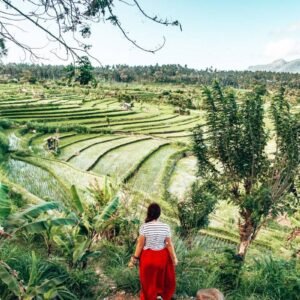 7-Day Bali Natural & Cultural Immersion Tour from Bali