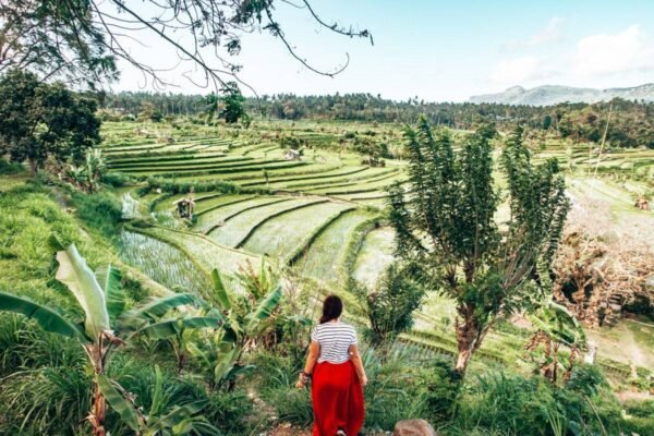 7-Day Bali Natural & Cultural Immersion Tour from Bali